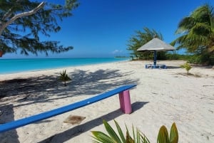 Long Island Bahamas: Guidet tur i en hel dag