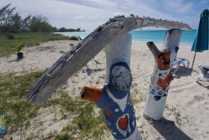 Long Island Bahamas: Guidet tur i en hel dag