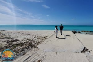 Long Island Bahamas: Guidet tur i en hel dag