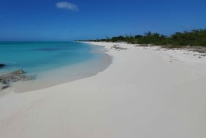 Long Island Bahamas: Guidet tur i en hel dag