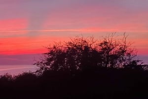 Long Island Bahamas: Guidet tur i en hel dag