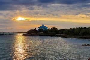 Long Island Bahamas: Guidet tur i en hel dag