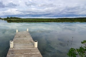 Long Island Bahamas: Guidet tur i en hel dag