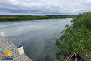 Long Island Bahamas: Guidet tur i en hel dag