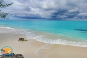 Long Island Bahamas: Guidet tur i en hel dag