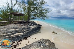 Long Island Bahamas: Guidet tur i en hel dag