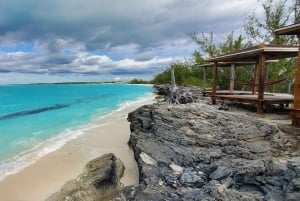 Long Island Bahamas: Guidet tur i en hel dag