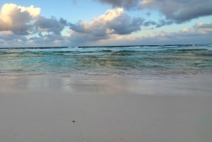 Long Island Bahamas: Guidet tur i en hel dag