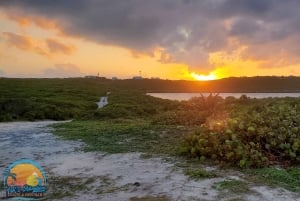 Long Island Bahamas: Guidet tur i en hel dag