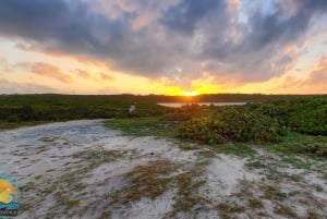 Long Island Bahamas: Guidet tur i en hel dag