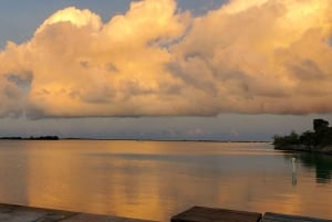 Long Island Bahamas: Guidet tur i en hel dag