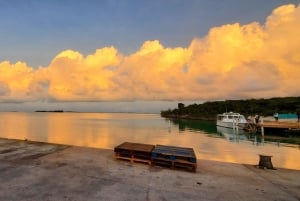 Long Island Bahamas: Guidet tur i en hel dag