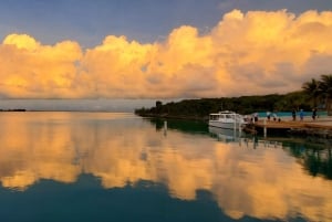 Long Island Bahamas: Guidet tur i en hel dag