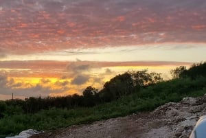 Long Island Bahamas: Guidet tur i en hel dag