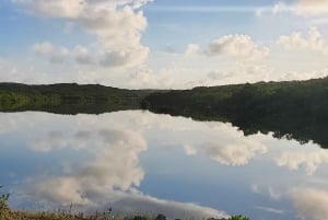 Long Island Bahamas: Guidet tur i en hel dag