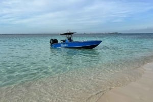 Prywatna łódź Pigs, żółwie, snorkeling na rafie i bar na plaży ⛱️