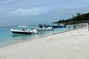Privat båt Griser, skilpadder, snorkling på revet og strandbar ⛱️