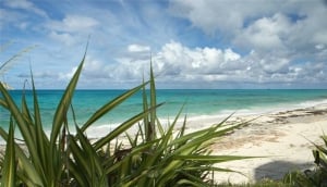 Man-O-War Cay