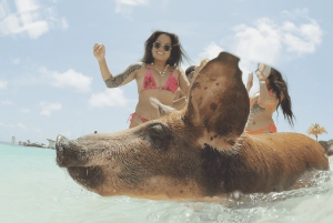 Mansa Bay w/ Swimming Pigs, Banana Boat, JetSki & Snorkeling