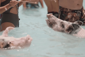 Mansa Bay w/ Swimming Pigs, Banana Boat, JetSki & Snorkeling