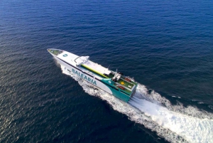 Miami: Bimini Express Ferry and Beach Day Pass