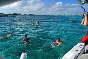 Nassau: 3 Islands Tour, Snorkel, Pig Beach, Turtles & Lunch