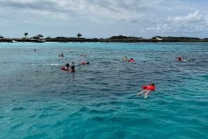 Nassau: 3 Islands Tour, Snorkel, Pig Beach, Turtles & Lunch