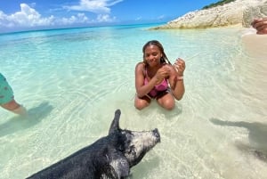Nassau: Passeio pelas 3 ilhas, mergulho com snorkel, Pig Beach, tartarugas e almoço