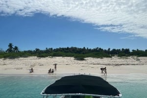Nassau: Wycieczka na 3 wyspy, nurkowanie z rurką, plaża dla świń, żółwie i lunch