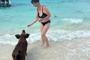 Nassau: Tur till 3 öar, snorkling, Pig Beach, sköldpaddor och lunch