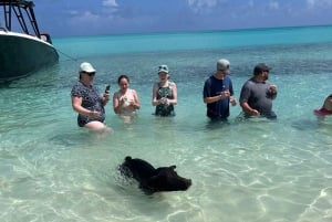 Nassau: 3 Islands Tour, Snorkel, Pig Beach, Turtles & Lunch