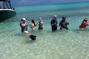 Nassau: 3 Islands Tour, Snorkel, Pig Beach, Turtles & Lunch
