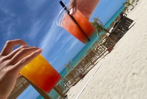 Nassau: 3 Islands Tour, Snorkel, Pig Beach, Turtles & Lunch