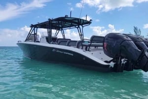Nassau: 3 paradas para observação de tartarugas, passeio de mergulho com snorkel nos recifes e almoço