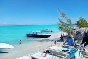 Nassau: 3 paradas para observação de tartarugas, passeio de mergulho com snorkel nos recifes e almoço