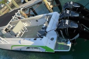 Nassau: Avistamiento de Tortugas en 3 Paradas, Excursión de Snorkel en el Arrecife y Almuerzo