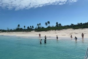 Nassau: Skilpaddevisning med 3 stopp, snorkletur på revet og lunsj