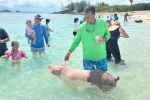Nassau: Tour zu 4 Inseln Schwimmende Schweine, Schildkröten, Schnorcheln