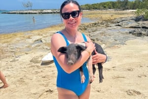Nassau: Tour zu 4 Inseln Schwimmende Schweine, Schildkröten, Schnorcheln