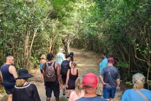 Nassau : Tour de l'île en quad ou en buggy