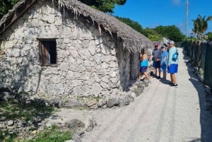 Nassau : Tour de l'île en quad ou en buggy