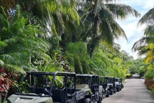 Nassau : Tour de l'île en quad ou en buggy