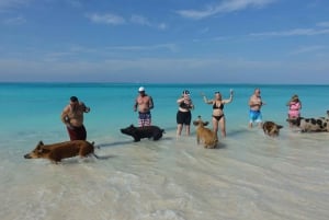 Nassau ATV & Zwemmende Varkens Tour