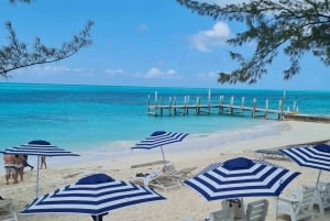 Nassau ATV & Zwemmende Varkens Tour