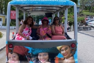 Nassau: Wycieczka po kulturze Bahamów z elektrycznym wózkiem i wodą