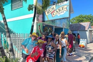 Nassau: Bahamas Culture Tour with Electric Trolley and Water