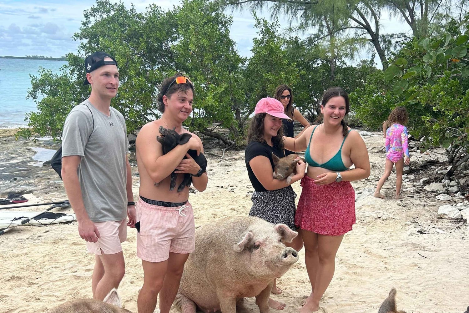 Nassau Bahamas: Jetcar Excursion to Pig Island Tour