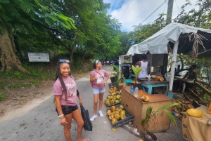 Nassau, Bahamas: Sightseeingtur med partybuss