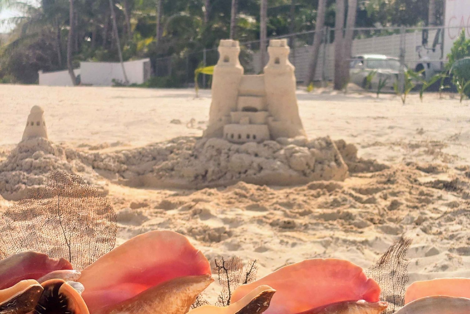 Nassau Bahamas: Sandslottsskulptering Strandaktivitet & picknick