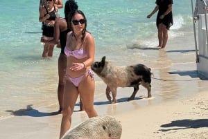 Nassau Bahamas(:) swimming pigs , snorkeling, turtles